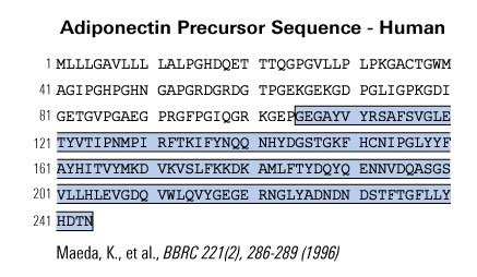 adiponectin sequence