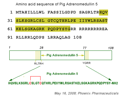 adm-5 sequence