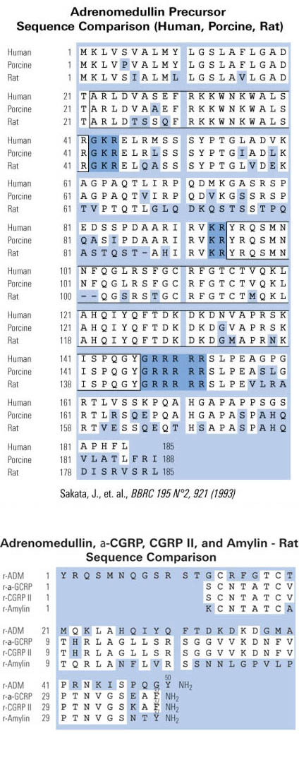 adrenomedullin precursor sequence comparison