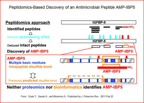 peptidomics approach of AMP-IBP5