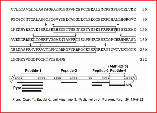 AMPIBP5 sequence and schmetics