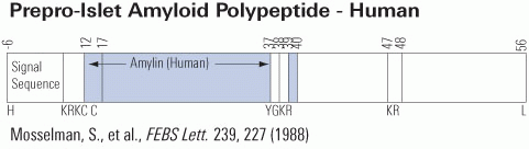 amylin schematic