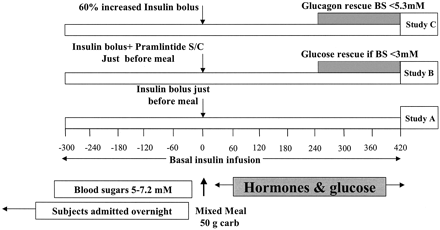 Schematic representation of study design. BS, blood sugar; carb, carbohydrates; S/C, subcutaneous.