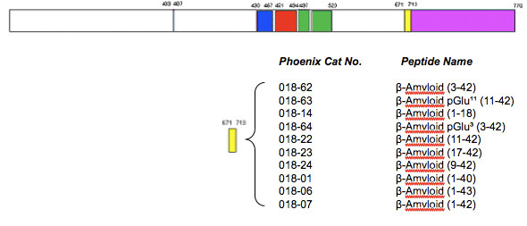 sequence amyloid structure