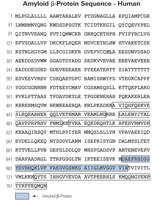 sequence beta amyloid