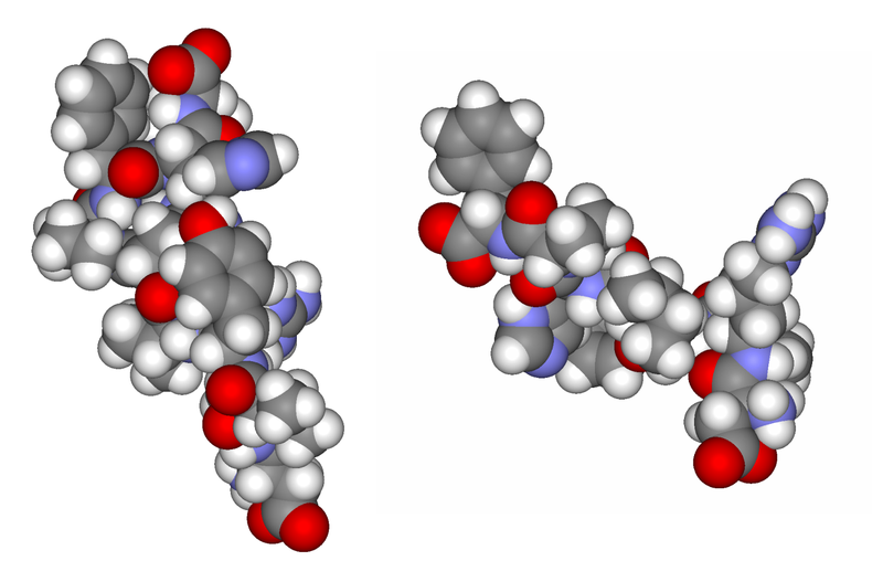 Angiotensin angiotensin molucule