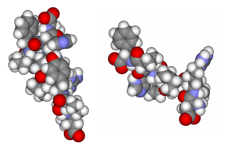 angiotensin molucule