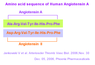 Amino acid sequence of Human Angiotensin A