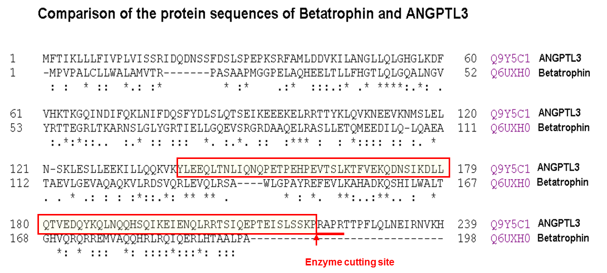 sequence comprison betatrophin & ANGPTL3