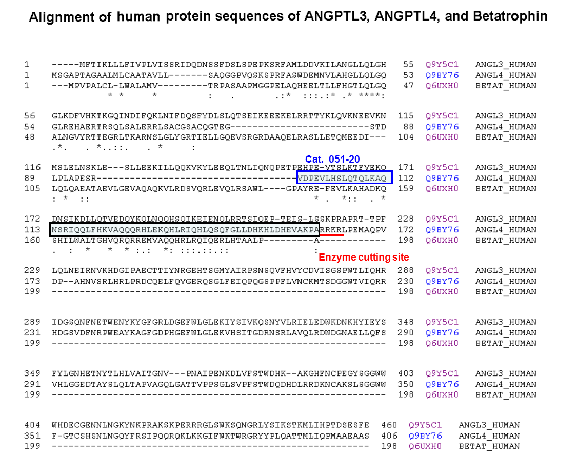 alignment ANGPTL3, ANGPTL4, & betatrophin