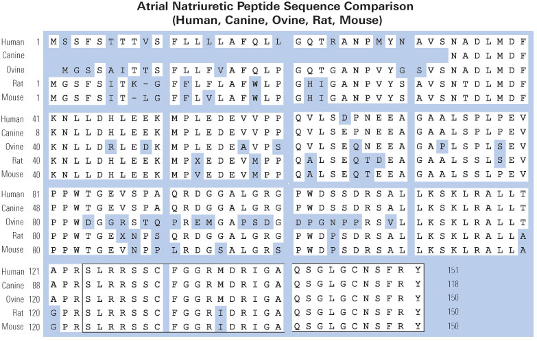 ANP Sequence Comparison