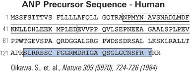 ANP (Human) Precursor Sequence