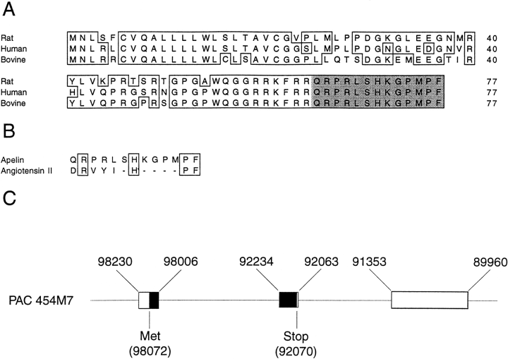 sequence comparison