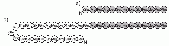 apelin-13 and apelin-36 apelin-13 and apelin-36