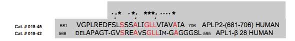 Sequence Alignment of  APLP2 (681-706) and APL1beta-28