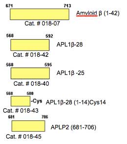 Common structure among human APP, APLP1 and APLP-2 and related products