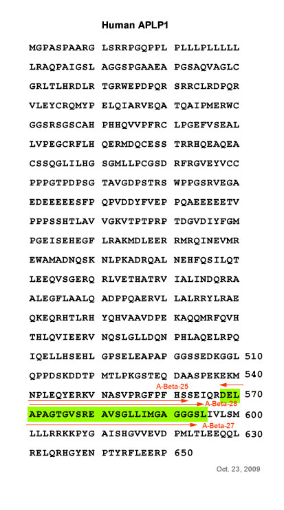 human aplp1 sequence