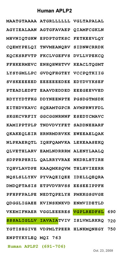 human aplp2 sequence