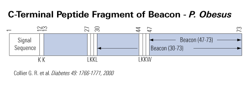 beacon schematic