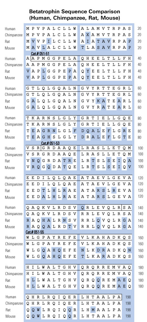 sequence comparison betatrophin