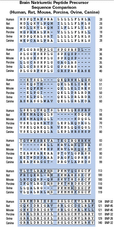 sequence comparison bnp