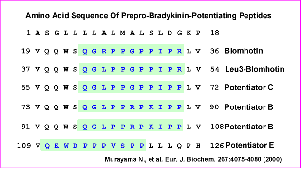 bradykinin sequence