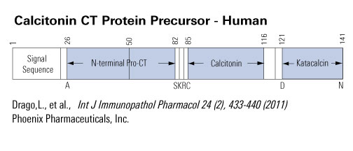 schematic calcitonin