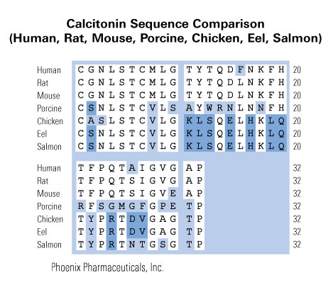 schematic sequence comparison calcitonin