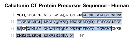 schematic sequence calcitonin