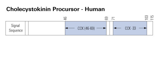 cck schematic