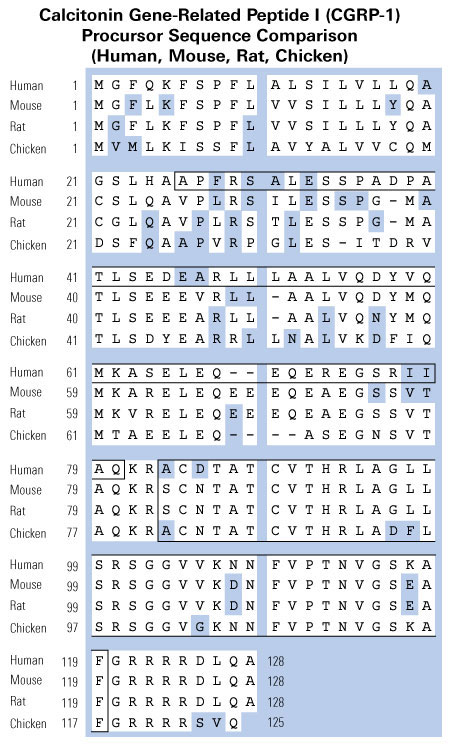 sequence comparison cgrp1