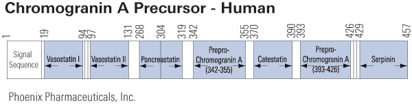 schematics chromogranin a