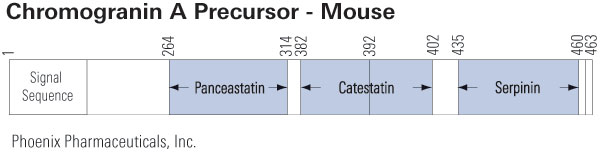 schematics chromogranin A mouse