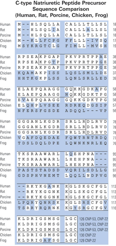 sequence comparison cnp