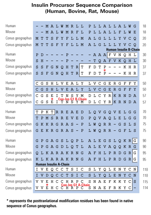 sequence comparison insulin