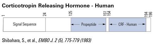 precursor CRF CRH