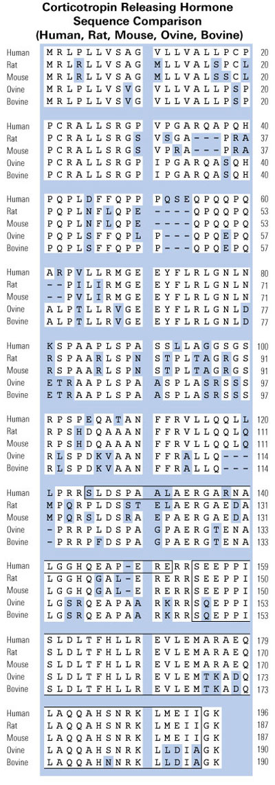 sequence comparison CRF CRH