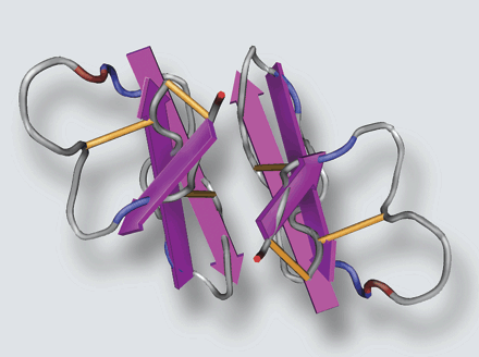 beta-Defensin 2 beta-Defensin 2
