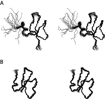 Stereo-diagrams of the backbone trace of the 20 lowest energy structures of HBD3