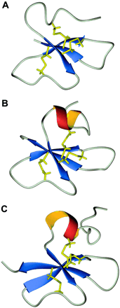 Ribbon diagrams of the three human -defensins.