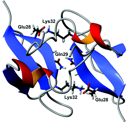 Possible orientations of two HBD3 monomers to form a dimer.