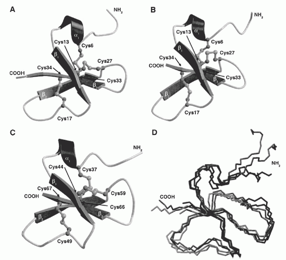 Schematic representation of the solution structures of mBD-7 (A), mBD-8 (B) and hBD-1(C)