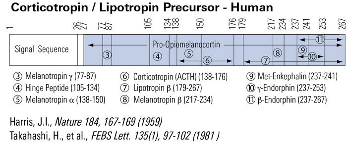 endorphin pro schema