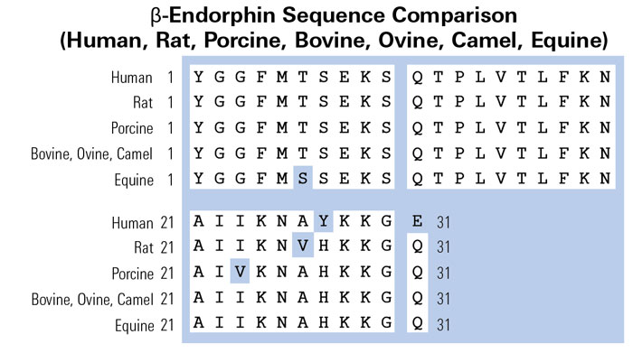 sequence comparison endorphin