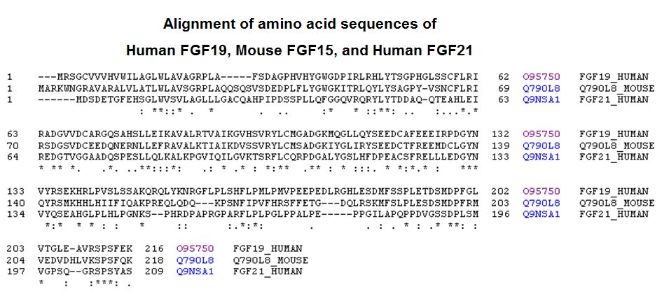 sequence comparison fgf-19