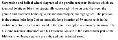 serpentine and helical wheel diagram of the ghrelin receptor