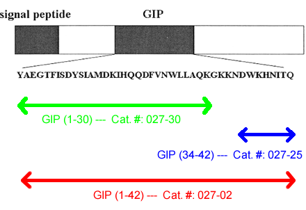 schematics gip