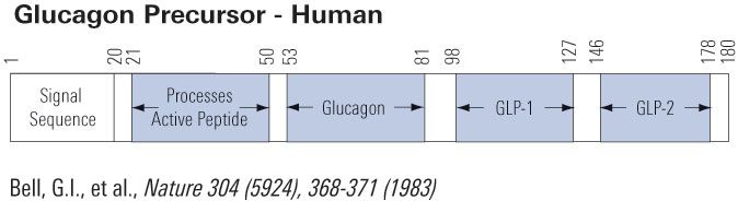 glp precursor