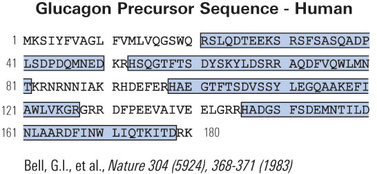 sequence glucagon