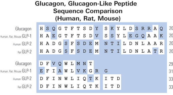 sequence comparison glp glucagon